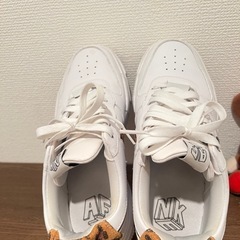 NIKE25.0 の画像