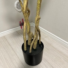 フェイクグリーンの画像