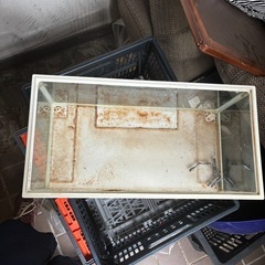 水槽の画像