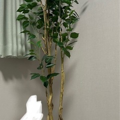 フェイクグリーンの画像