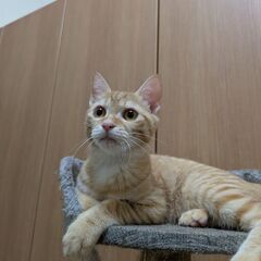 生後5ヶ月やんちゃです！