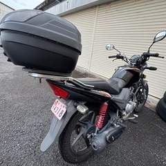 ホンダ　バイク　CBF125  125ccの画像