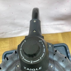 ザイグルボーイの画像