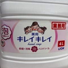 薬用キレイキレイ　４Lの画像