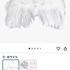 100日 装飾 天使の羽の画像
