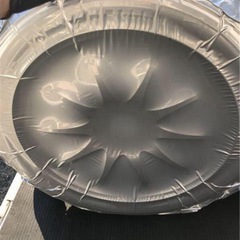 コンプレスフィット シルバーの画像
