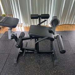 IROTECレッグエクステンション・カールマシン　トレーニングマシン　ジム専用マシンの画像