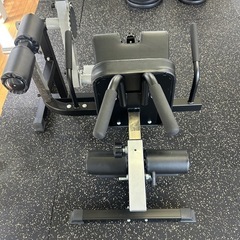 IROTECレッグエクステンション・カールマシン　トレーニングマシン　ジム専用マシンの画像