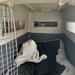 大型犬クレート/ケージ一回のみ使用の画像