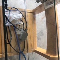 水槽の画像