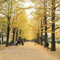 🟥⬛「金欠時の救世主！」かんたん建築系軽作業！「毎日」「土日だけ...