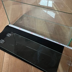 10月26日（日）10時〜12時限定引渡し　ガラス製水槽　1つ1000円の画像