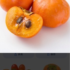 甘柿