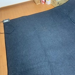 3畳ホットカーペットの画像