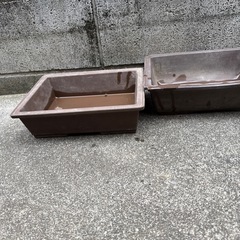 盆栽鉢三つセットの画像
