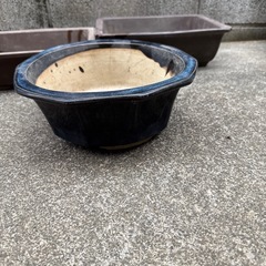 盆栽鉢三つセットの画像