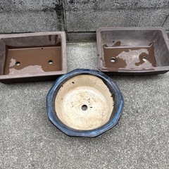 盆栽鉢三つセットの画像