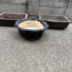 盆栽鉢三つセットの画像