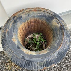 花器　フラワーベース　かけありの画像