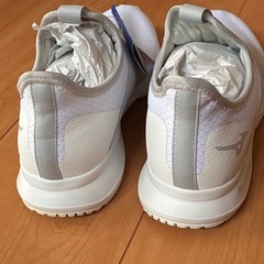 新品　未使用　汚れあり　ミズノ　メンズ　24.5の画像