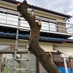 取引中 薪　無料の画像