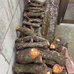 取引中 薪　無料の画像