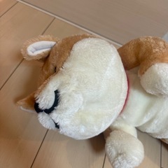 ワンチャンねぬいぐ寝ぬいぐるみの画像