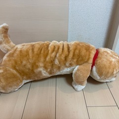 ワンチャンねぬいぐ寝ぬいぐるみの画像