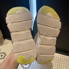 光る靴　学研図鑑LIVE 恐竜　スニーカー　スピノサウルス　17cm  の画像