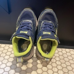 光る靴　学研図鑑LIVE 恐竜　スニーカー　スピノサウルス　17cm  の画像