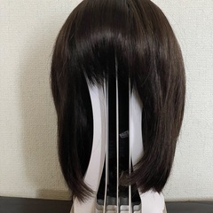新品　SVENSON スヴェンソン　医療用ウィッグSE4 B4y/II & 備品セットの画像