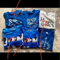 【お話中】島根スサノオマジック　Tシャツまとめ売りの画像
