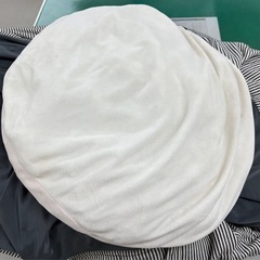 【2点出品・バラ売り可】人をだめにするクッション（ニトリ）　Francfrancふわふわクッションの画像