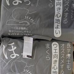 西川 まくら 2個セット（1個からもOK）の画像
