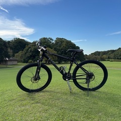 【手渡し限定】ビアンキattivo マウンテンバ 17 MTB Bianchiの画像
