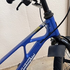 (【子供用】ランボルギーニ　自転車の画像