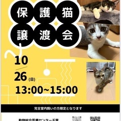 猫ちゃんわんちゃんの譲渡会