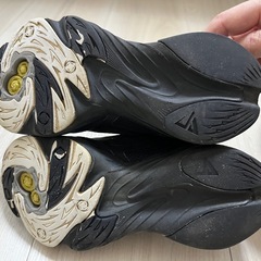 瞬足（シュンソク）　黒　17センチの画像