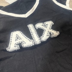 アルマーニALXTシャツの画像