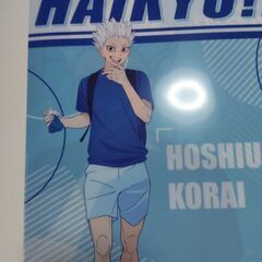 ハイキュークリアファイルの画像