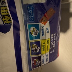 サルパ　尿取りパット夜用スーパー22枚入りの画像