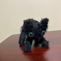 シャー‼︎　てなってる黒猫の画像