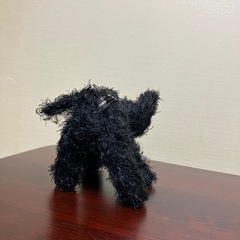 シャー‼︎　てなってる黒猫の画像