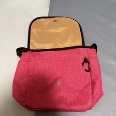美品　アネロ　ショルダーバッグの画像