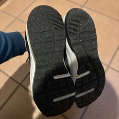 ナイキ エアマックス　の画像
