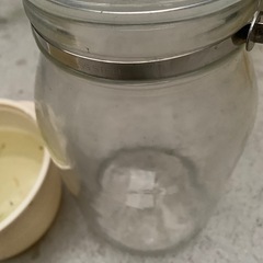 瓶入りメダカ　10匹程度　このまま飼えますの画像