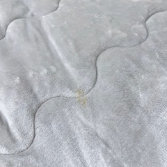こたつ布団の画像