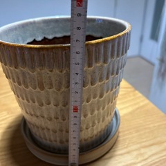 新品未使用　鉢の画像