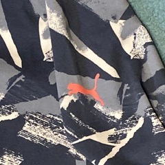 puma  パーカー　S sizeの画像