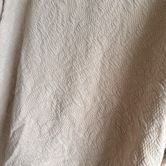 フリルトップスの画像